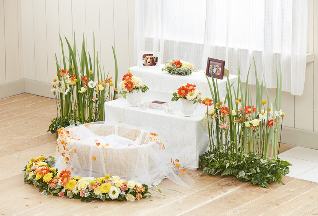 [花祭壇] オレンジパーク（ペットの葬式プラン）