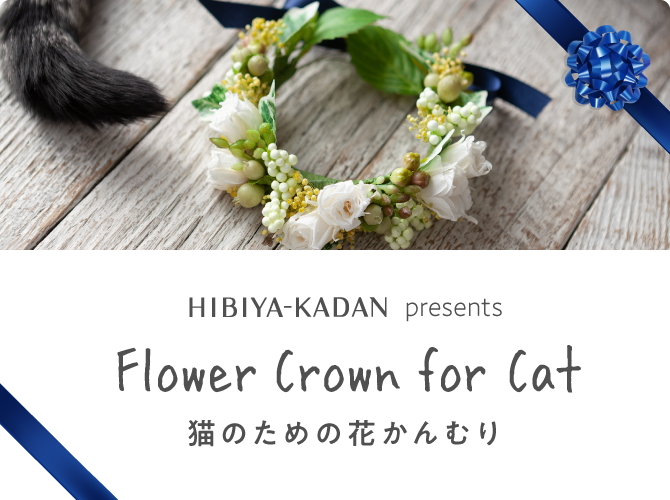 猫のための花かんむり