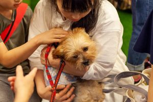 抱き寄せられる犬