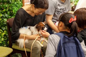 犬との触れ合い