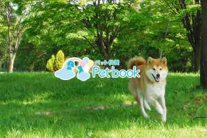 ペット供養サービス「Petbook」