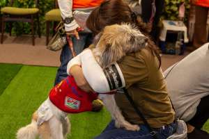 抱き合うスタッフと犬