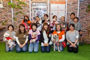 保護犬譲渡会 全員集合写真