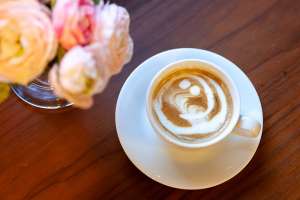 第3回保護犬里親会