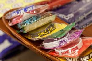 動物愛護団体 Dog Shelter