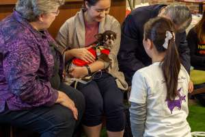 人の膝の上でくつろぐ犬