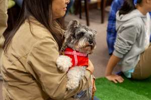 抱っこされる犬