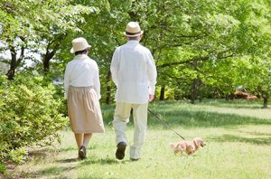 ペットと一緒に入れるお墓の探し方と注意点