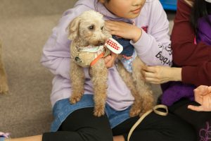 子供に抱っこされる犬