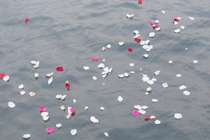 花びらを海へ撒く