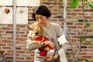スタッフと犬